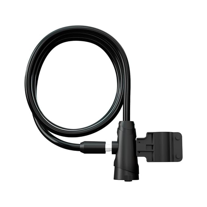 EMotorad KeyGuard User-Friendly Key System | Frame Mount