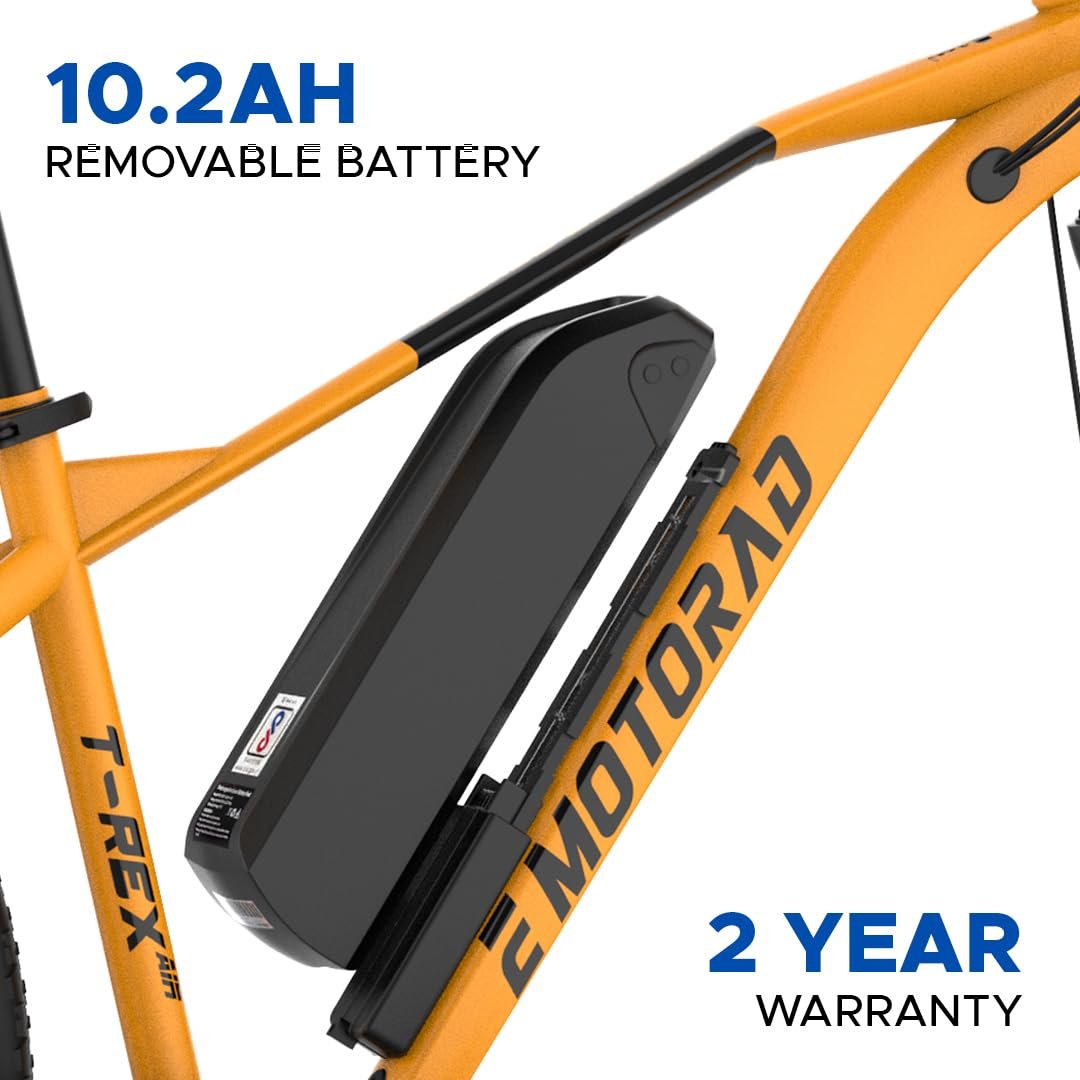 E MOTORAD - T-REX AIR - Image 6